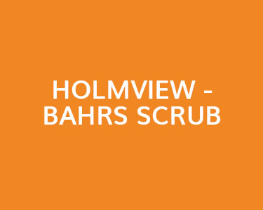 Holmview - Bahrs Scrub
